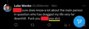 Luke Wenke harassment slander stalking screenshot