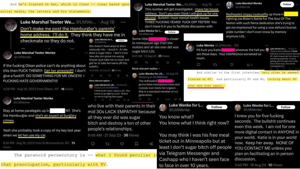 Luke Wenke harassment and stalking of Katie Valentine