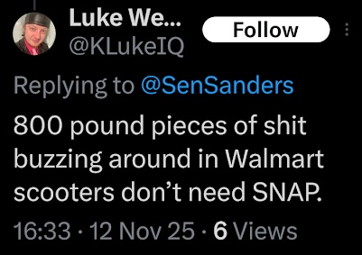 screenshot of a november 2025 luke wenke x/twitter post mocking overweight people